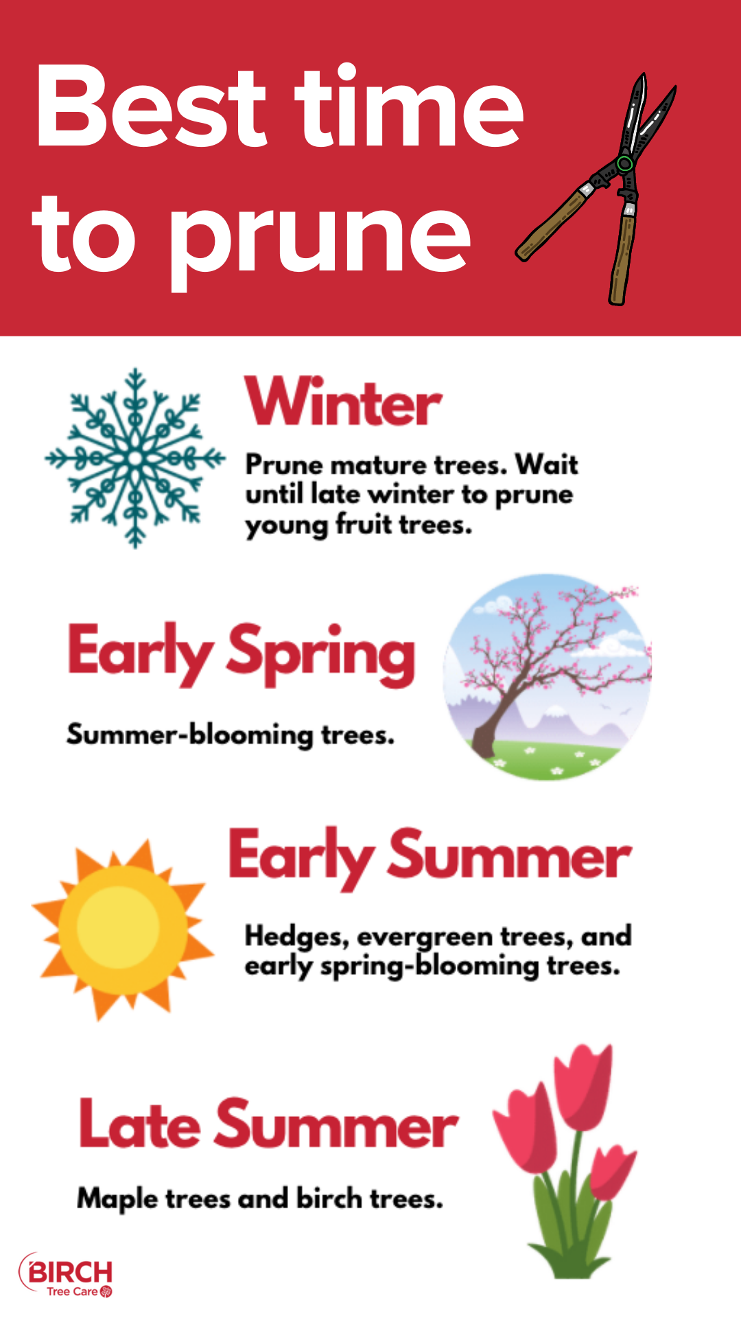 Winter Tree Trimming: Young Trees, Fruit Trees, Spring Flowering Trees