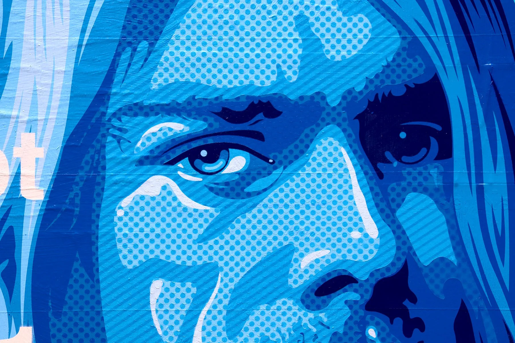 Cobain_Detail7.jpg