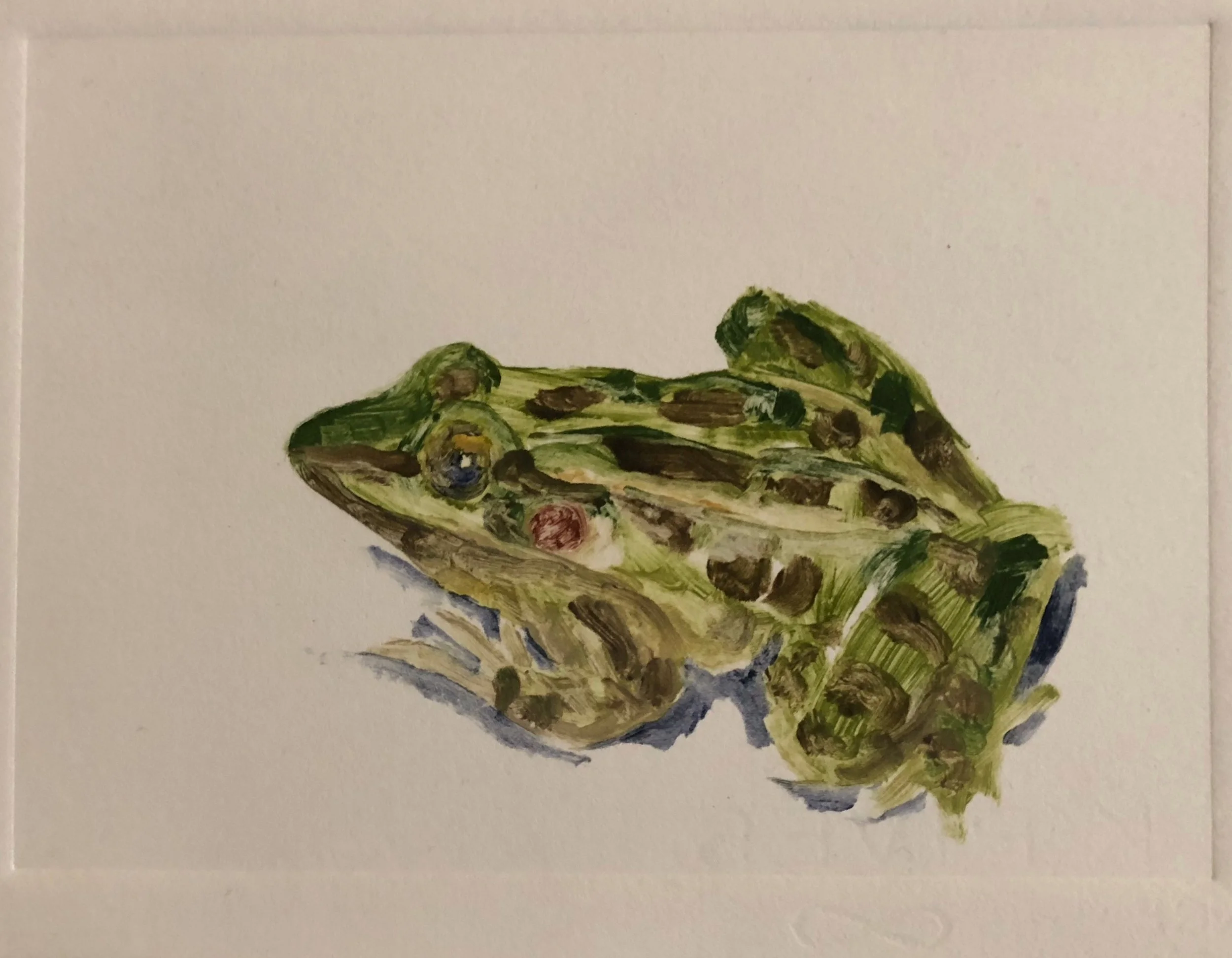   Leopard Frog , monoprint 