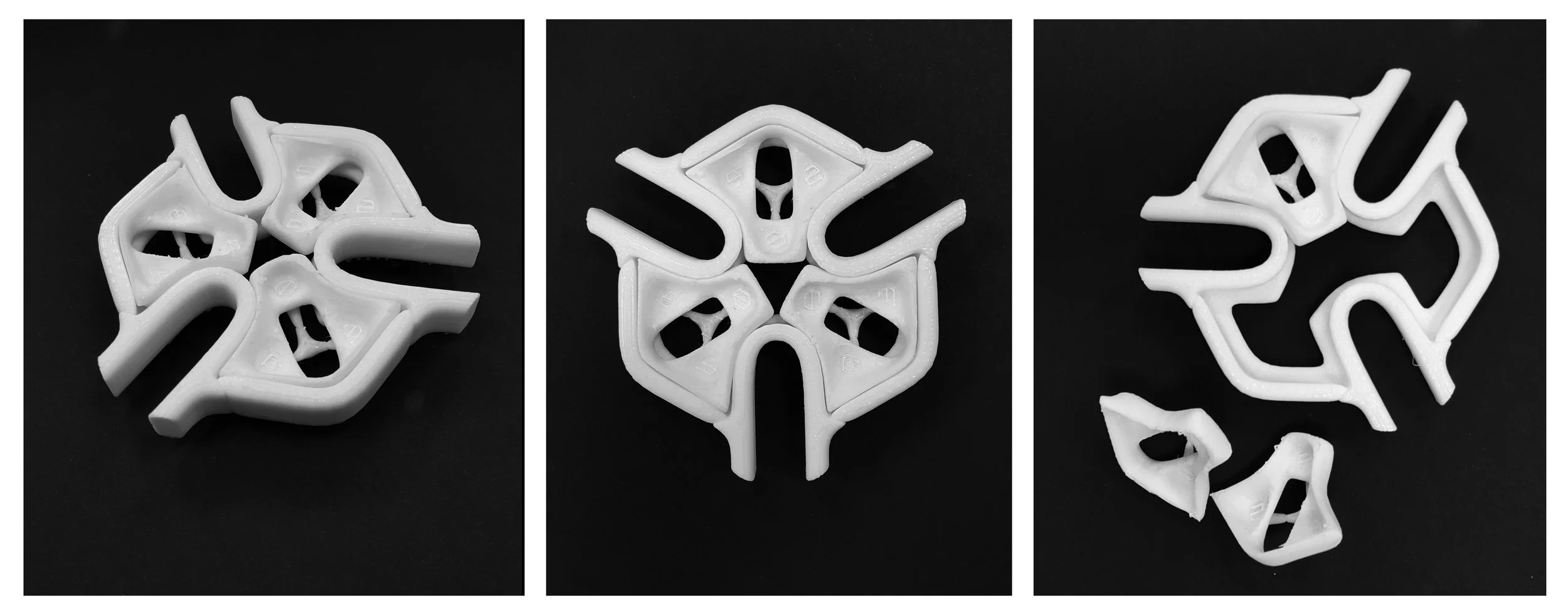 Module_Study _Model.jpg