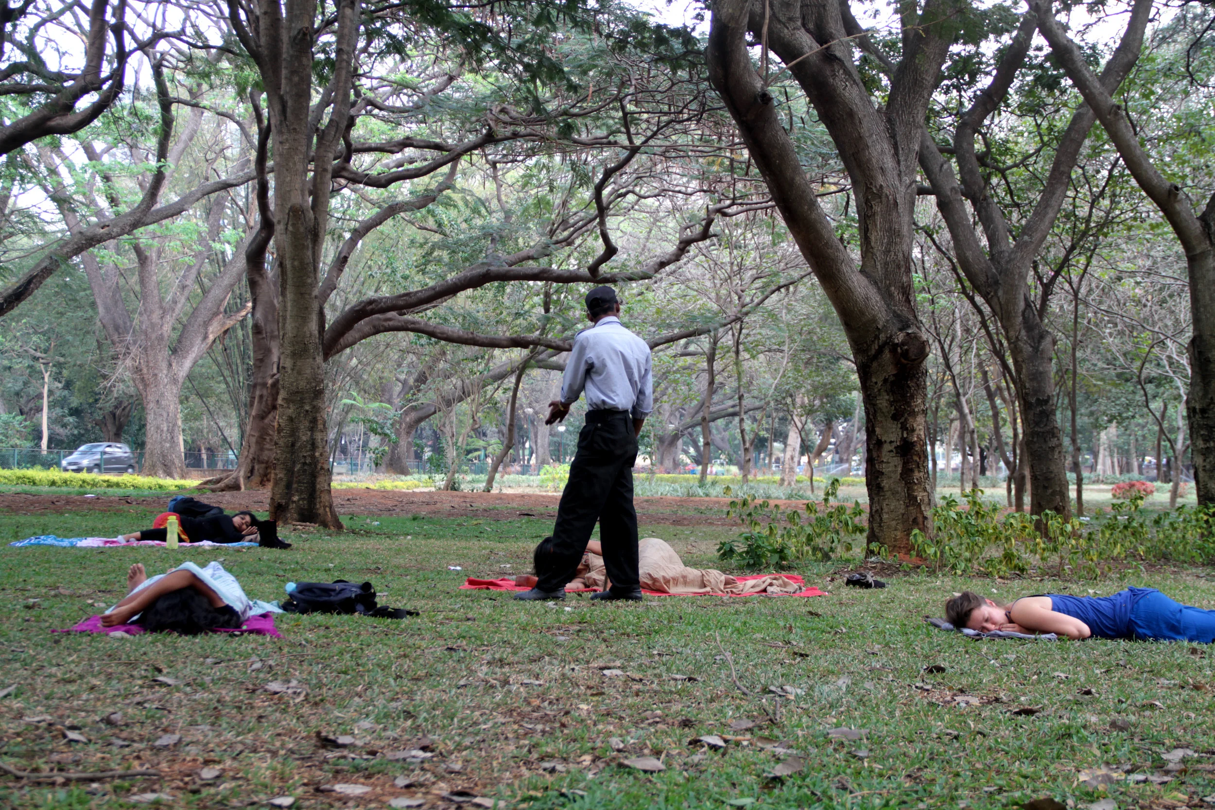 Meet To Sleep - Security Guard.jpg