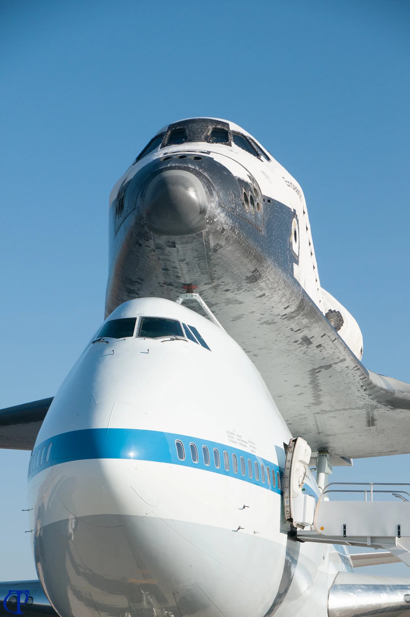 2 noses.jpg