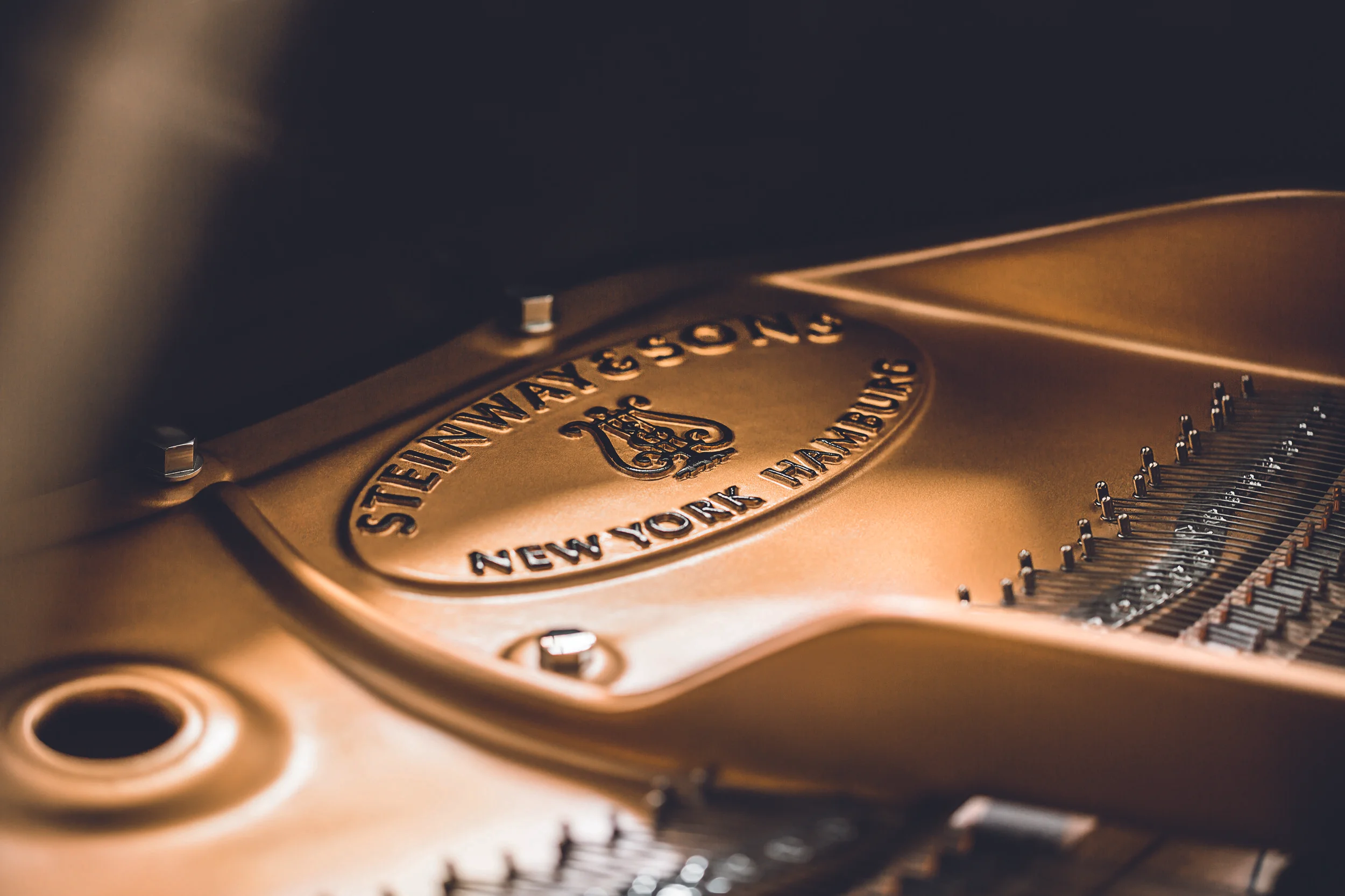 STEINWAY_SON_030215_17_182_A_CMJN300 copy.jpg
