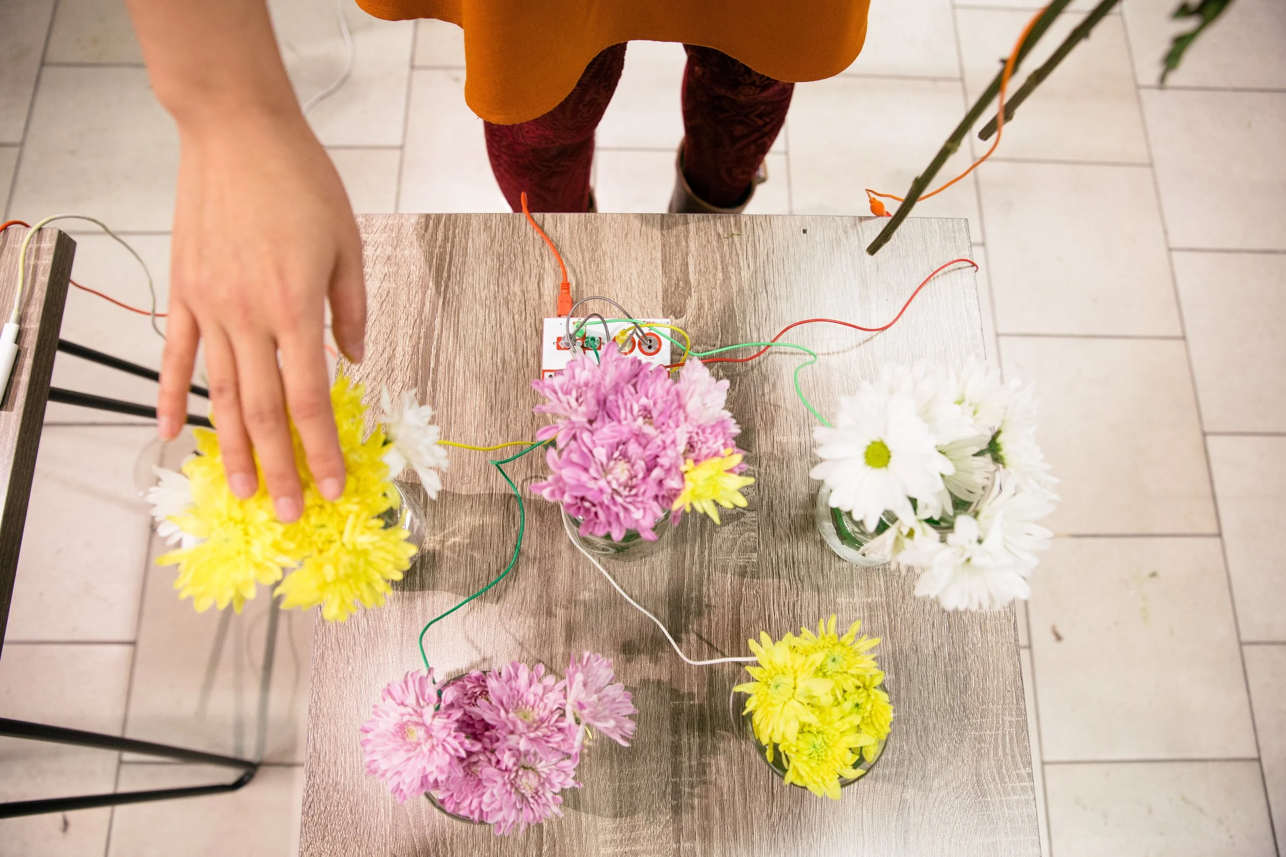 Touch a canary yellow flower and a cat meows. Touch a white flower and a bell jingles. Code Park shares the magic of circuitry with flowers and sounds at Pop Shop, Houston, December 2017. Photography courtesy of Jessi Bowman.