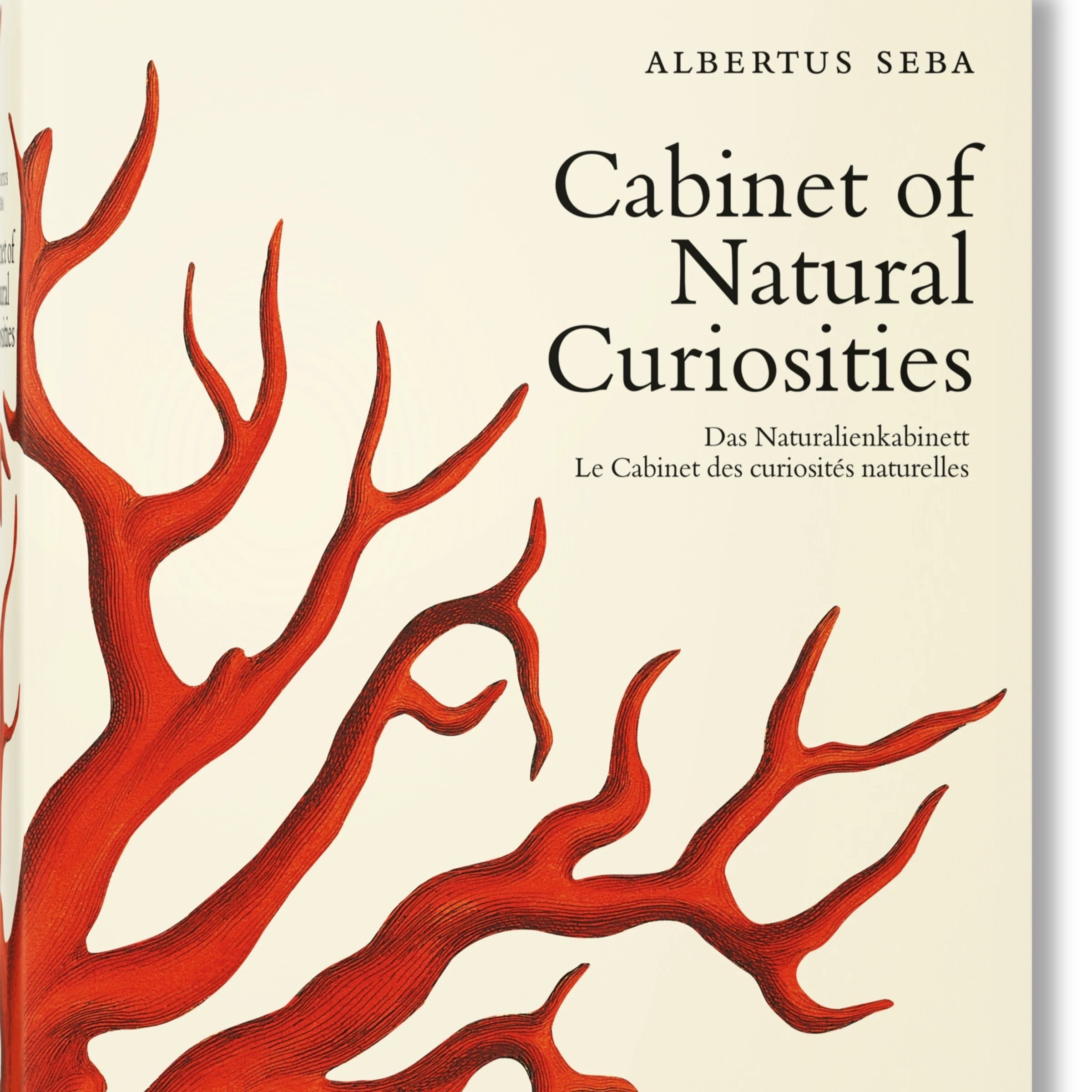 Cabinet of Natural Curiosities