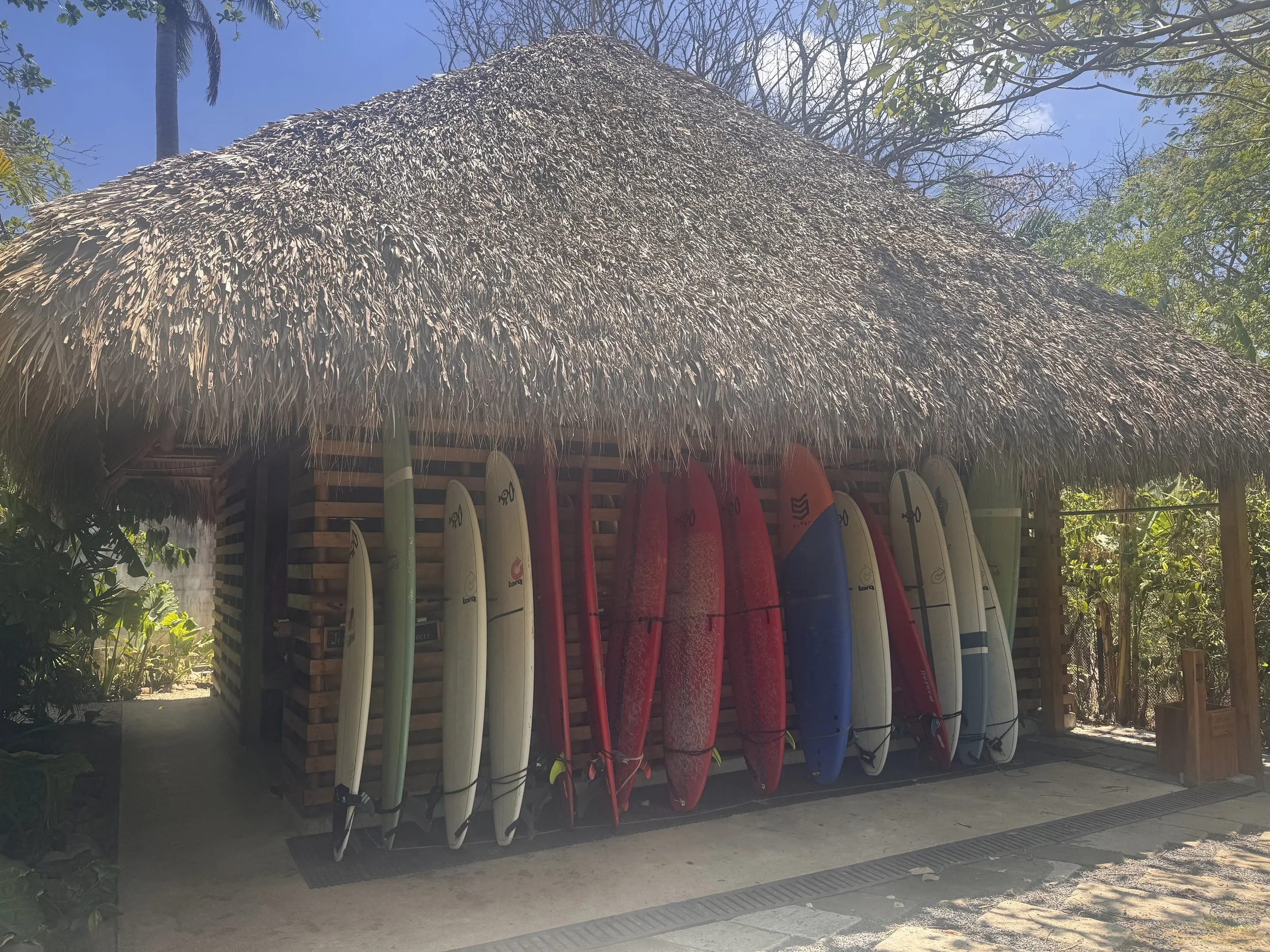 NOTES FROM A HUMBLED "SURFER"