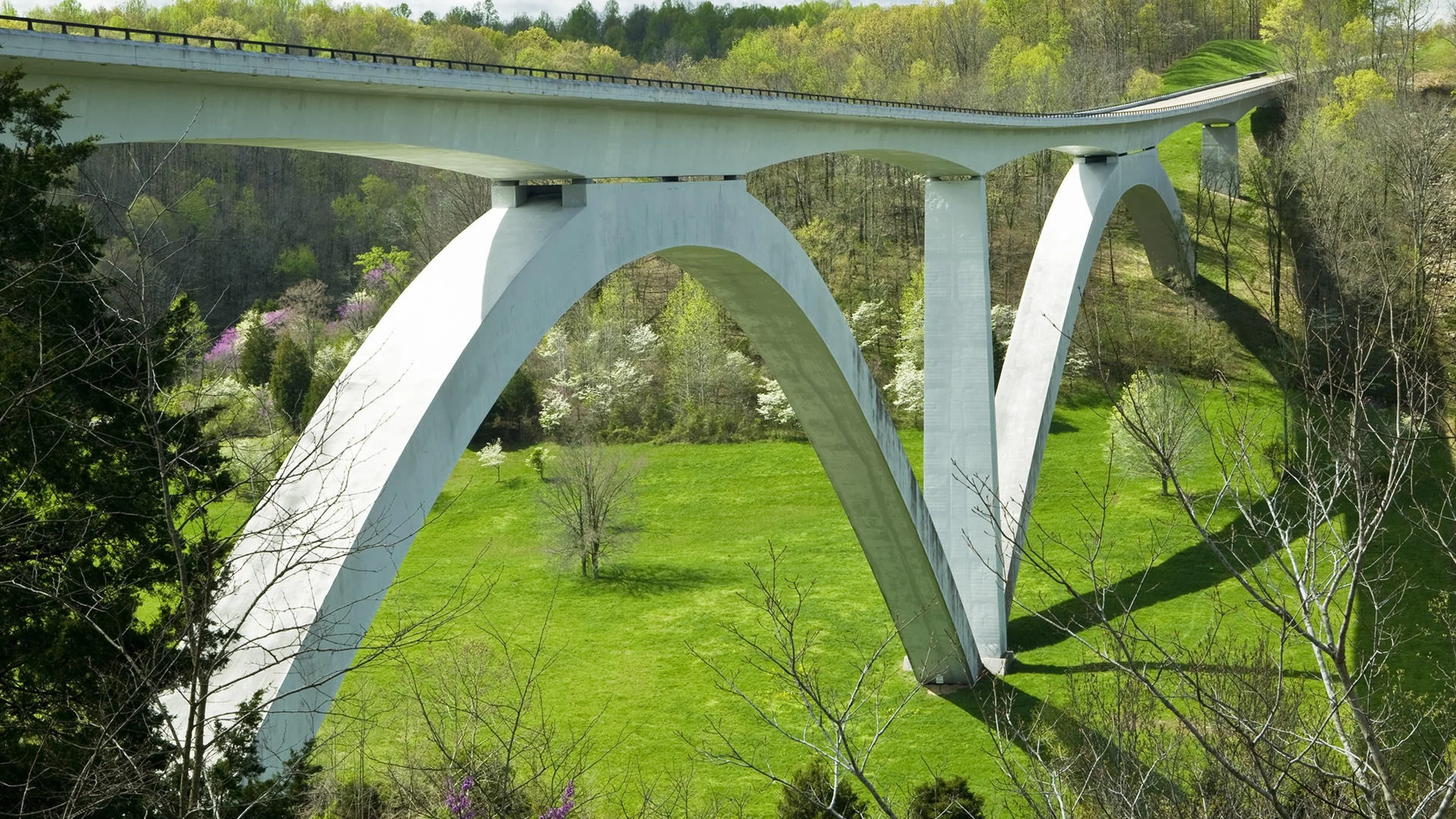 Natchez Trace  Bridge - Spring.jpg