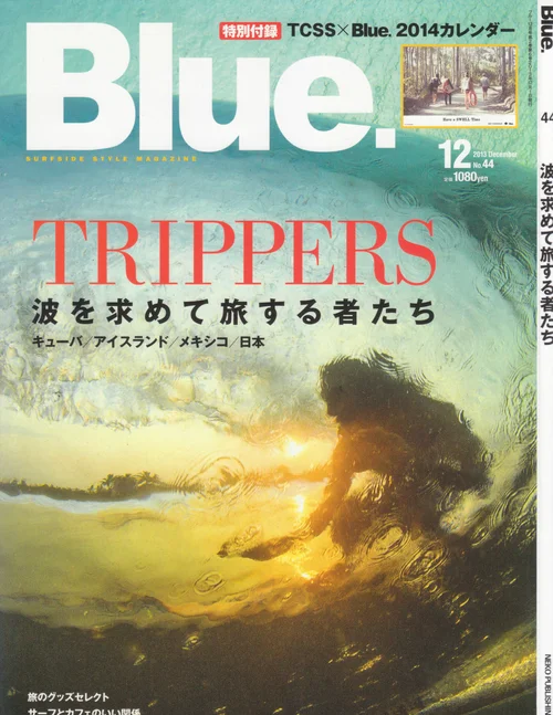 Blue Japan Press Travis Reynolds