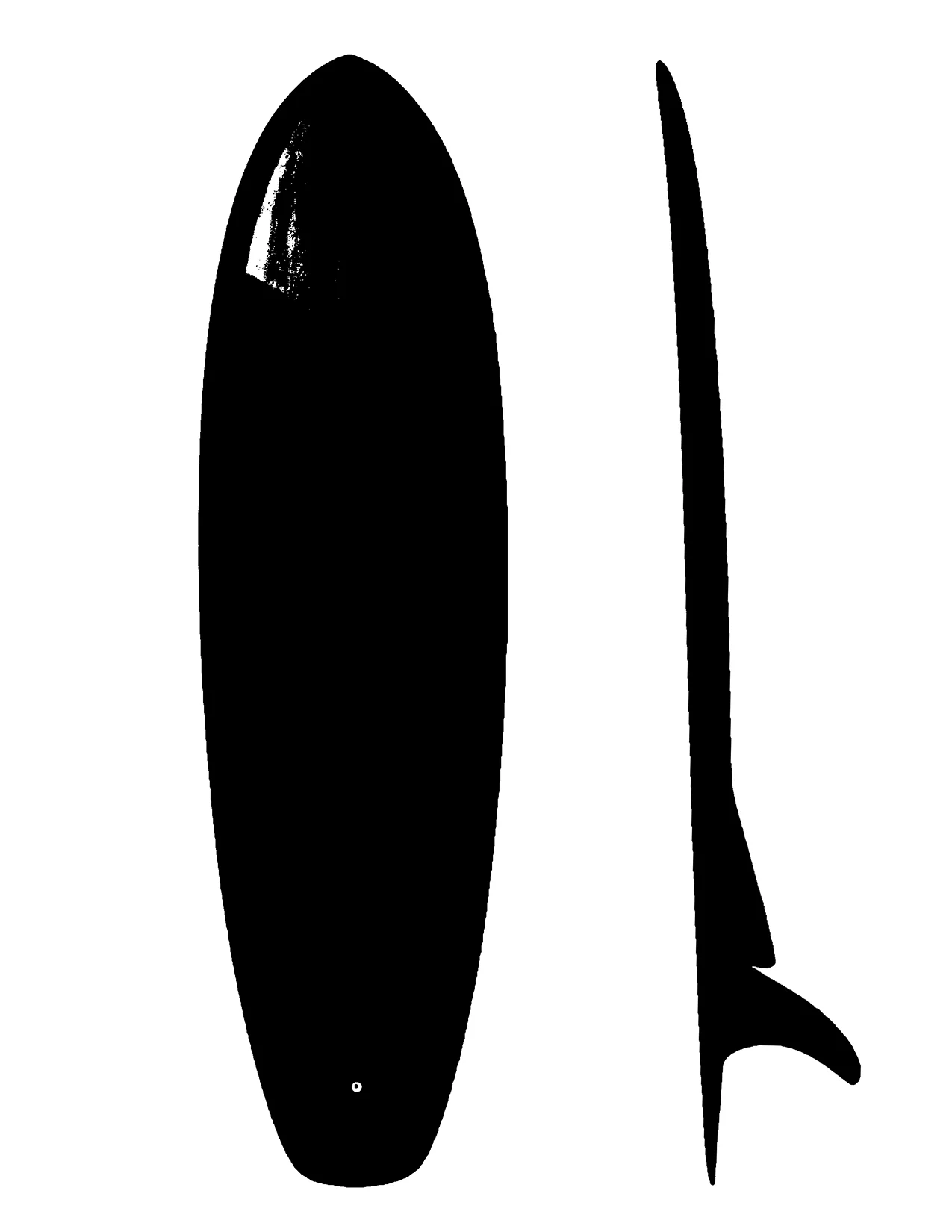 cherimoya template.jpg
