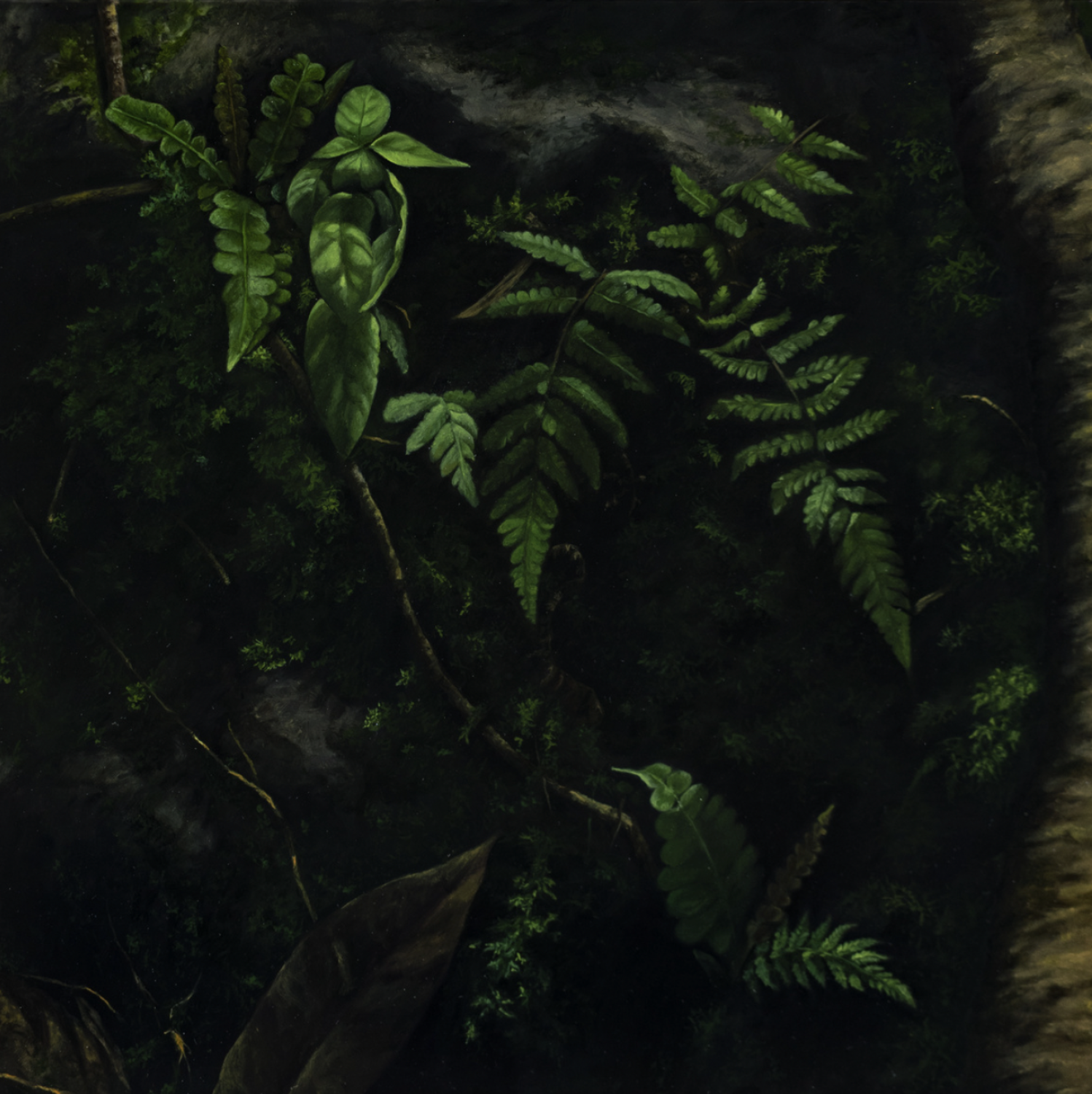 Screenshot 2025-09-04 at 2.56.05 PM.png
