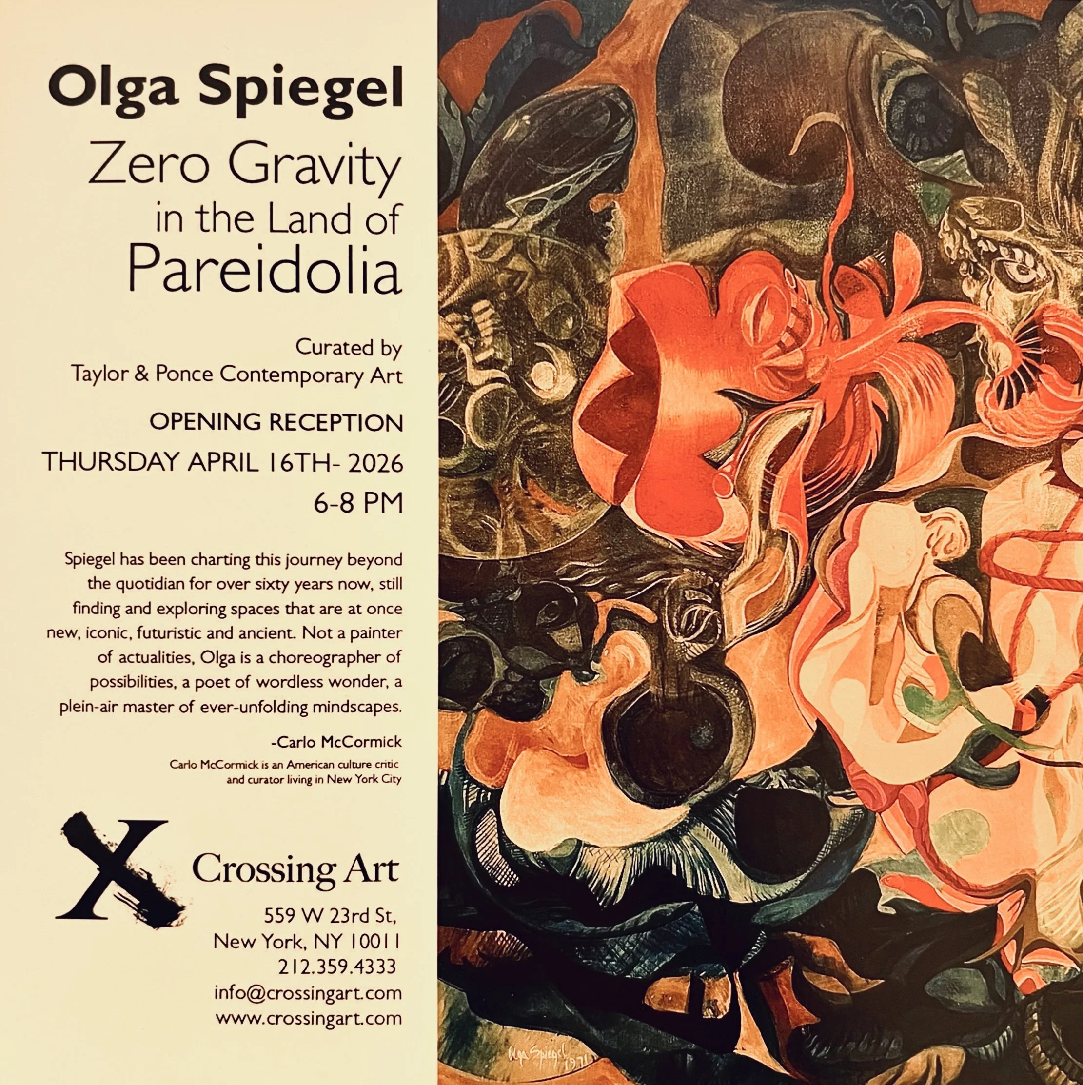 Olga Spiegel: Zero Gravity in the land of Pareidolia