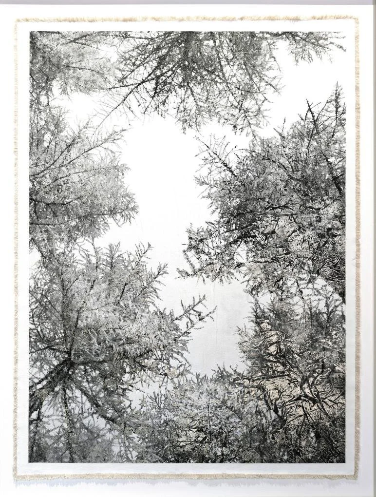 Weixin Image_20260930140245_646_608.jpg