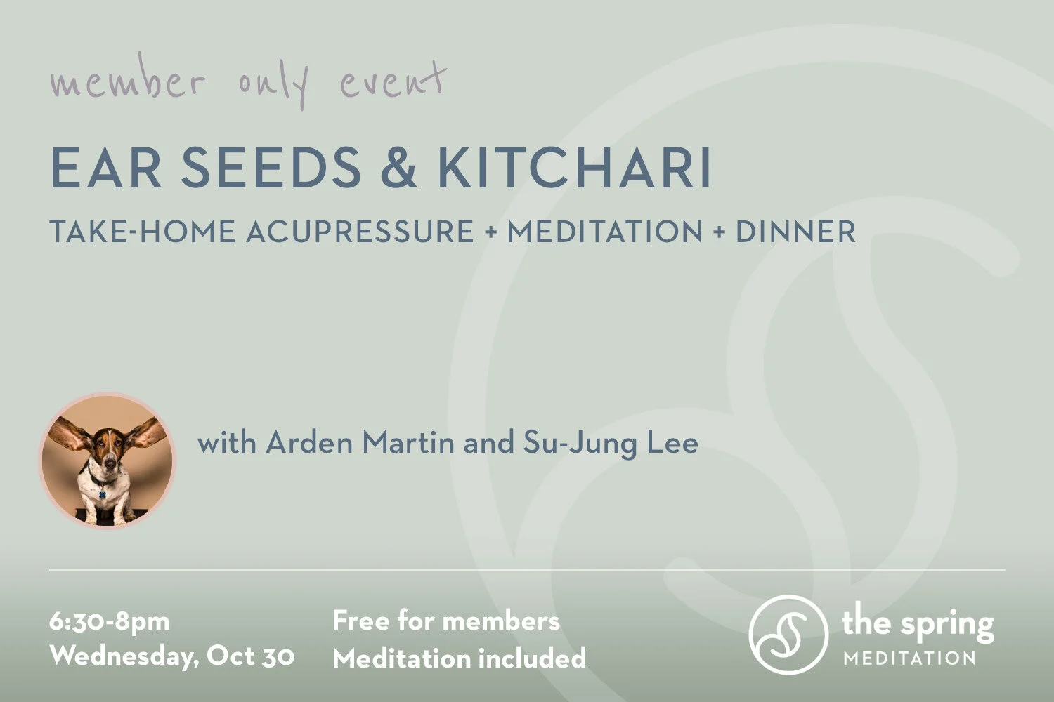 the-spring-meditation-member-event-ear-seeds-kitchari.jpg