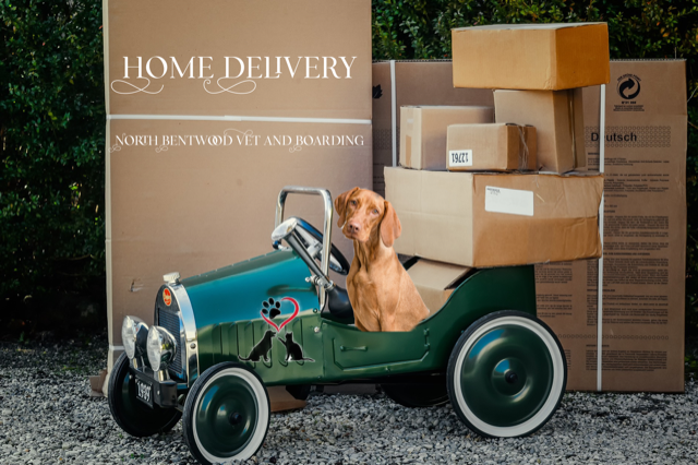 Home Delivery.jpg
