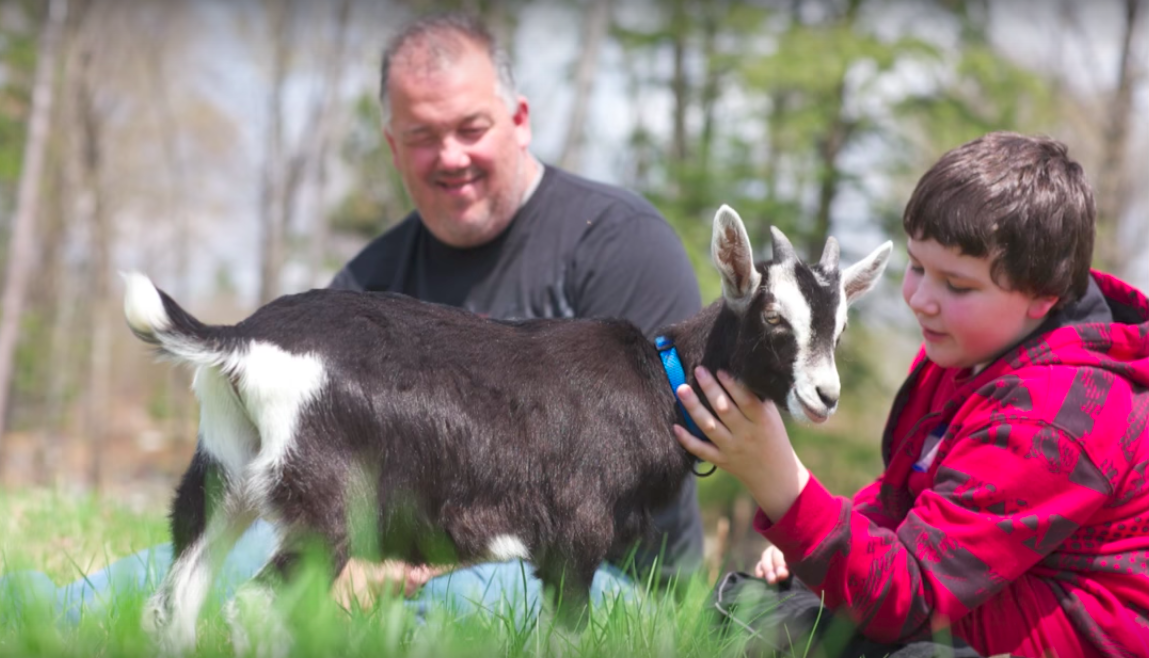 goat school maine