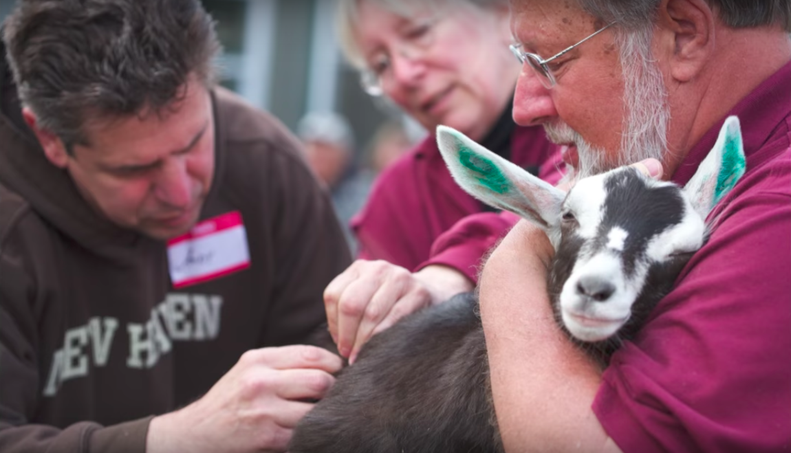 goat school maine