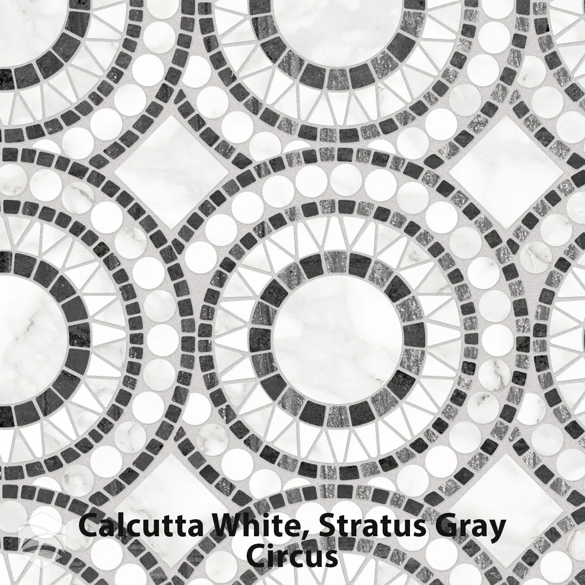 Calcutta+White,+Stratus+Gray_Circus_V2_12x12.webp