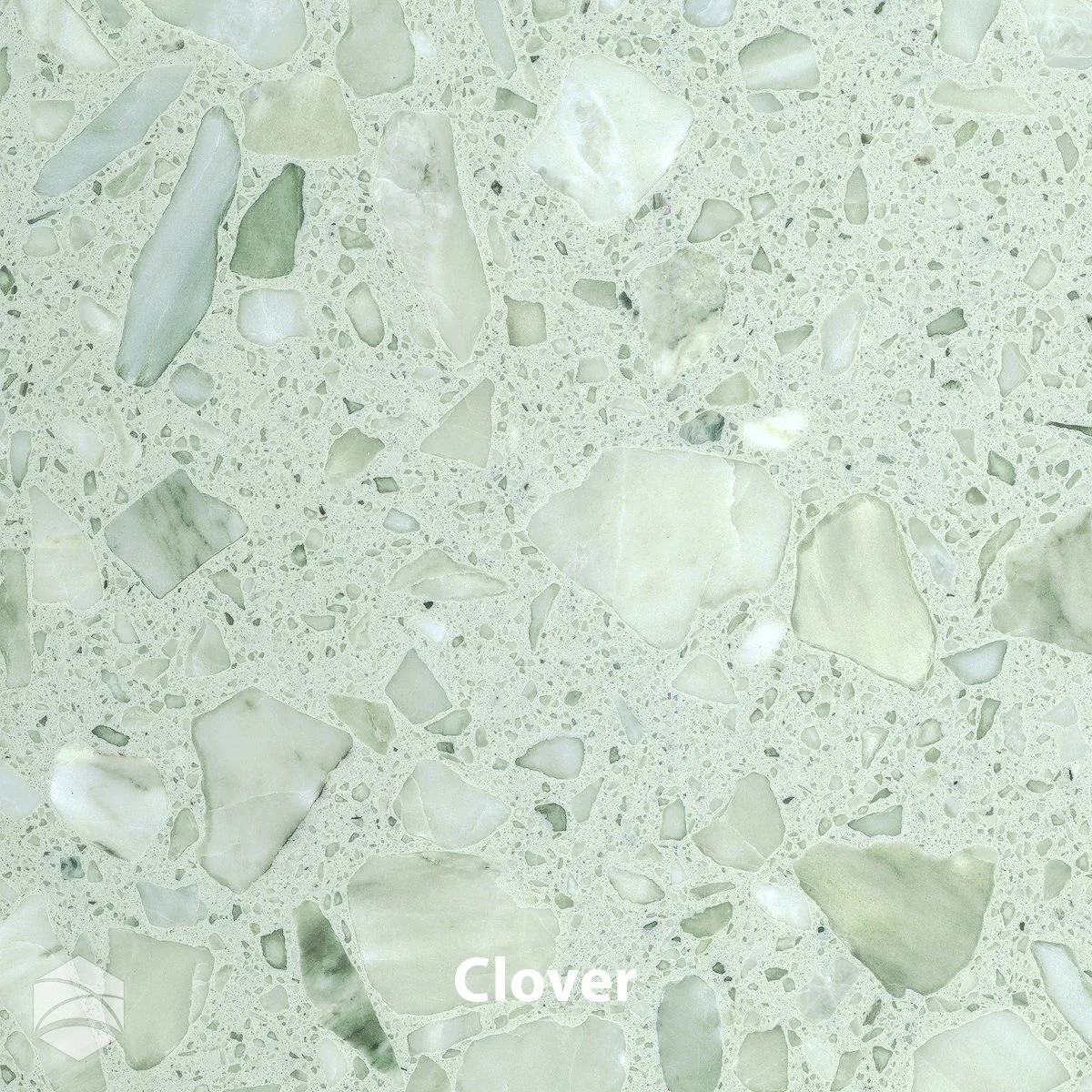 Clover_V2_12x12.webp