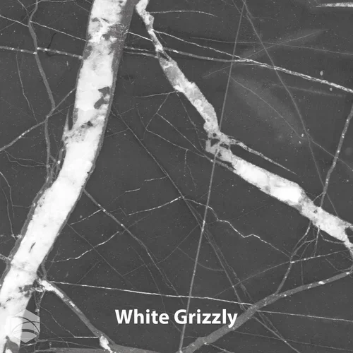 White+Grizzly_V2_12x12.webp