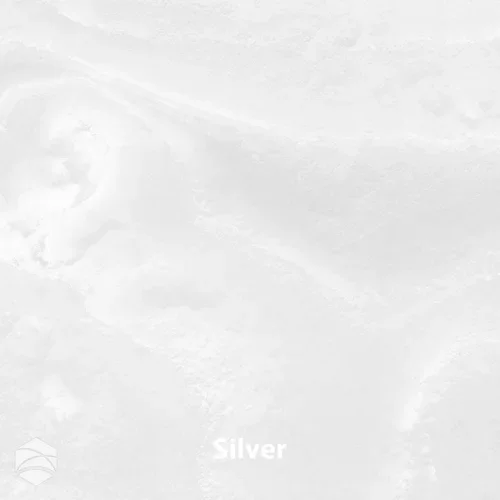 Silver_V2_12x12.webp