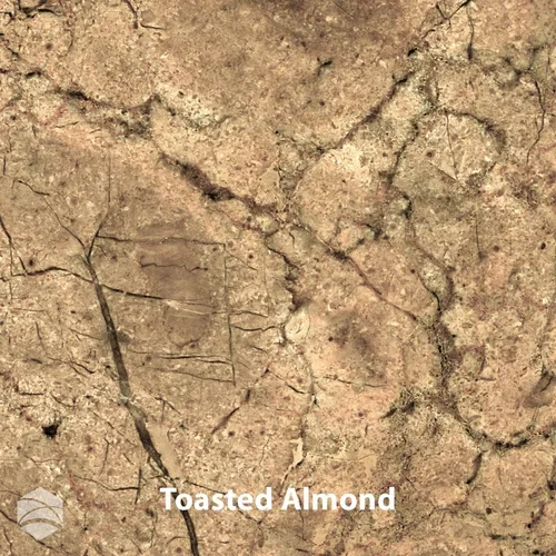 Toasted+Almond_V2_12x12.webp