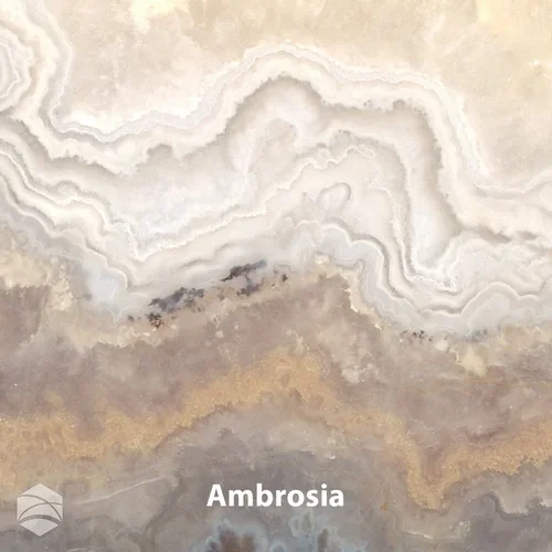 Ambrosia_V2_12x12.webp