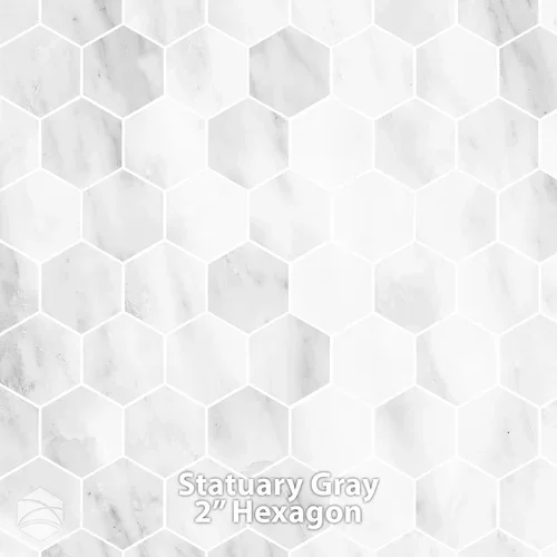 Statuary+Gray_LT_2+In+Hex_V2_12x12.webp