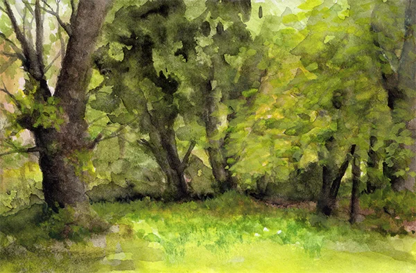 henrys_trees.jpg