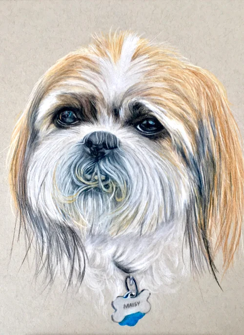 hi_maisy.jpg