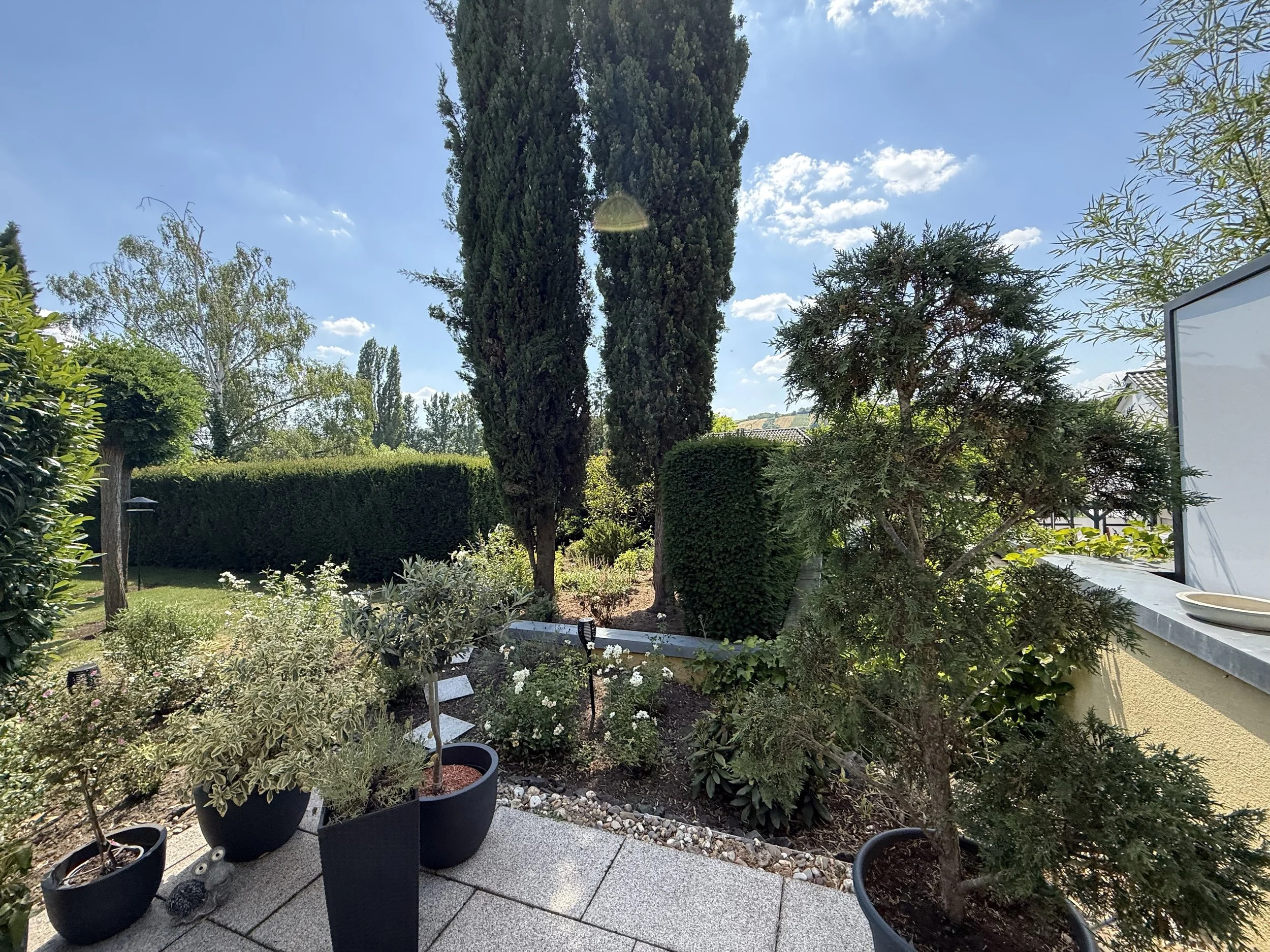 4.Terrasse.jpg