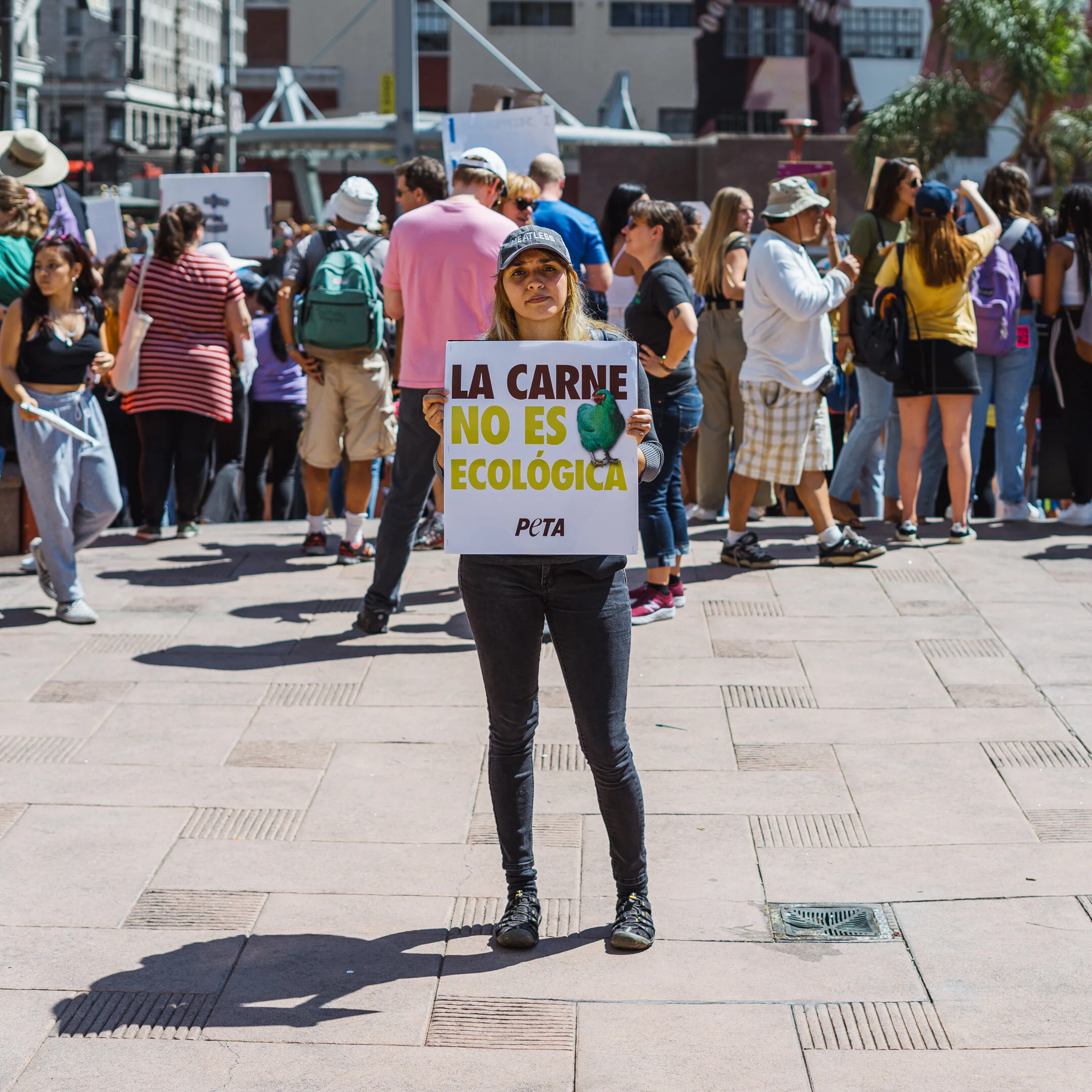  Photo by Kirk Tsonos, Los Angeles 