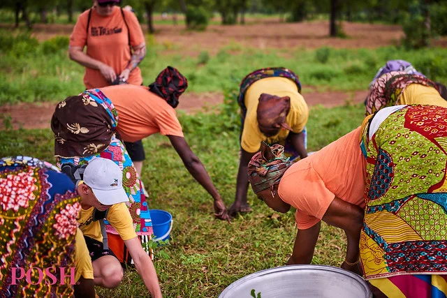 Women of the Shea Sisterhood in Gizaa Gunda, Ghana harvesting shea nuts for sustainable shea butter in Perfectly Posh products