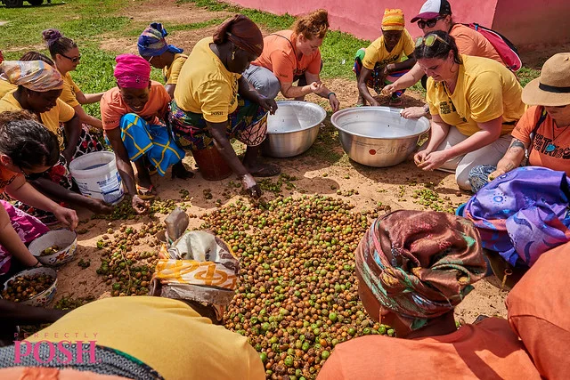Women from the Shea Sisterhood in Ghana sort shea nuts in the sun to dry for sustainable shea butter.