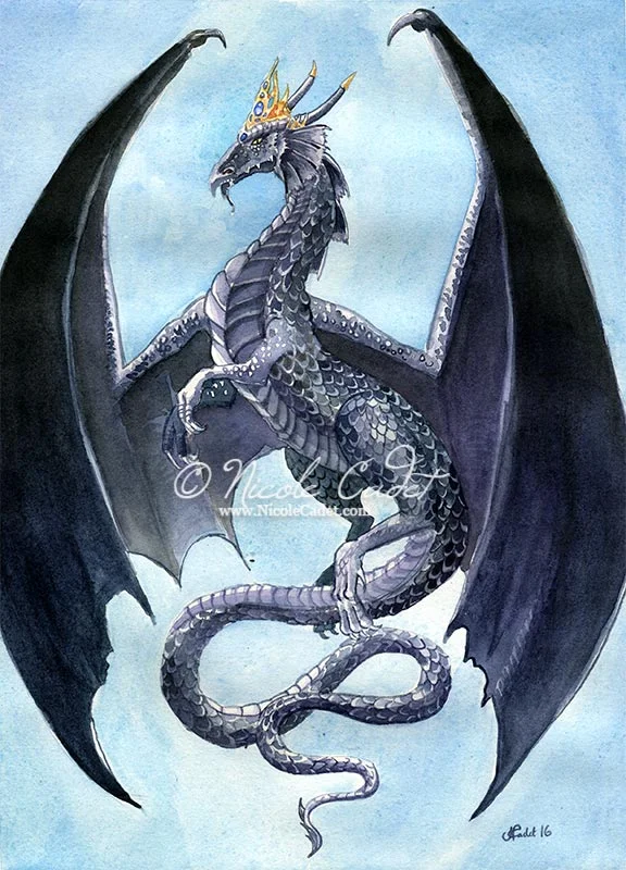 NCadetBlackDragon-1.jpg