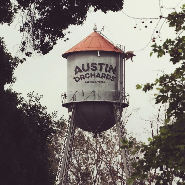 tower.jpg