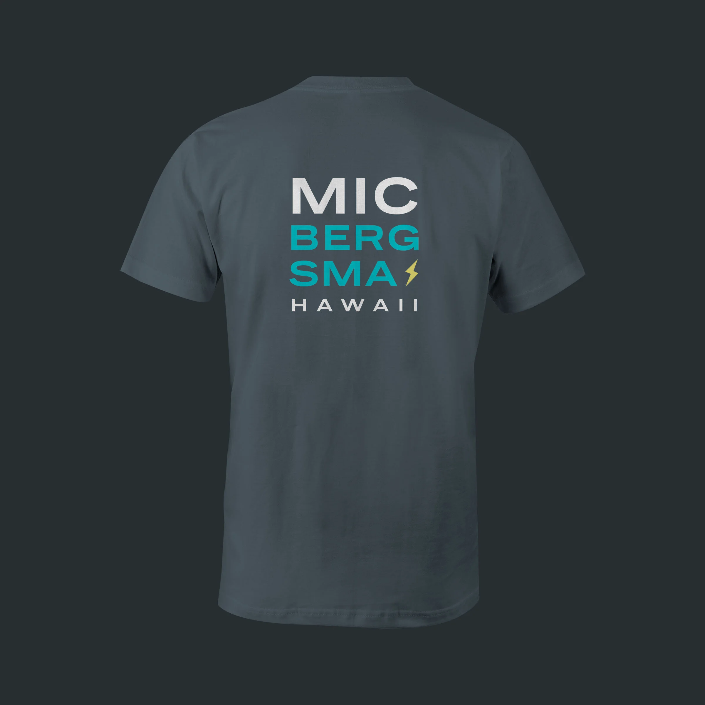 shirtback2.jpg