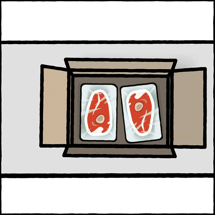 belts_01.gif