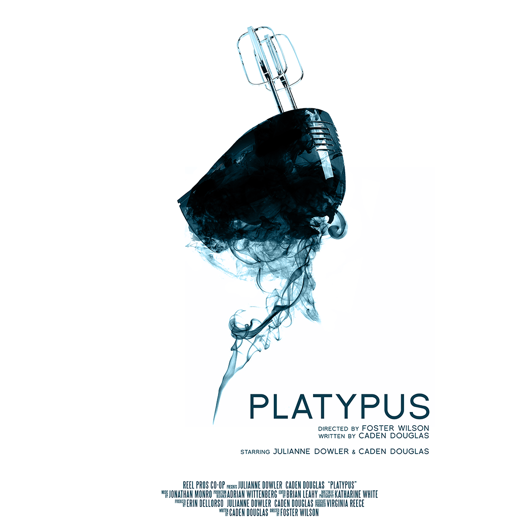 PLATYPUSinsta.png