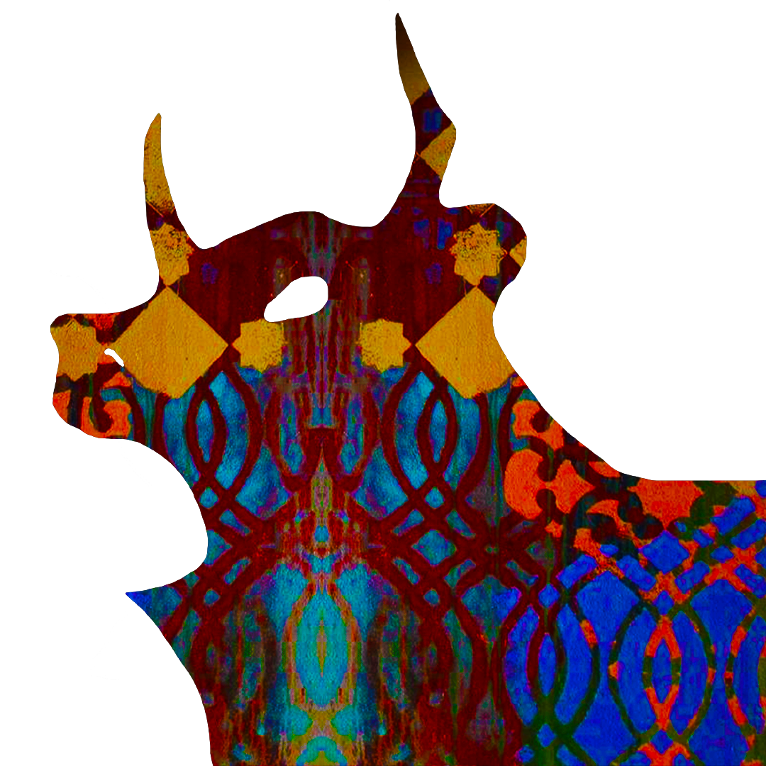 rahnuma.png