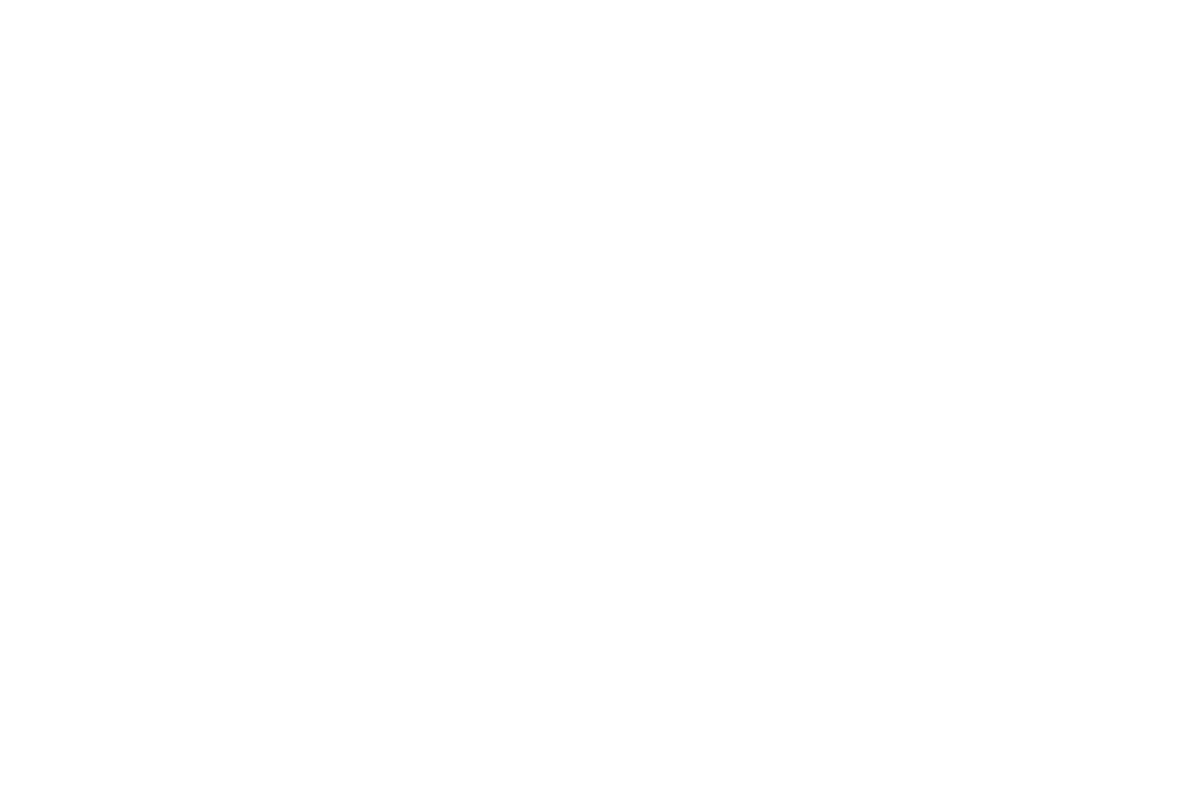 OFFICIAL SELECTION - 35th Edmonton International Film Festival - 2021 copy.png
