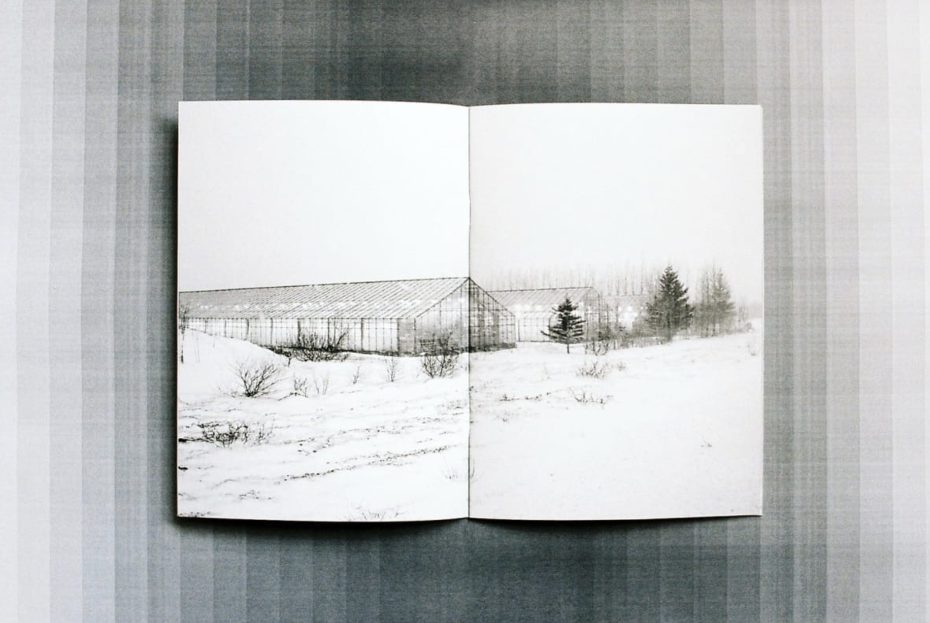 Screen Shot 2022-05-12 at 10.15.20 am.png