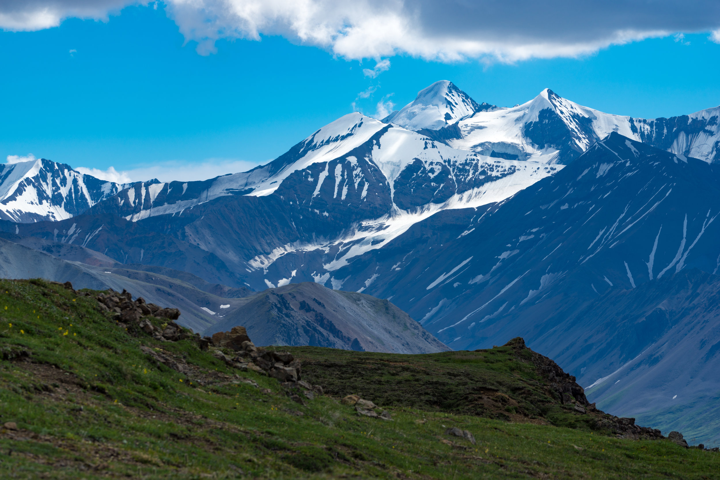 CitW2016Denali-28.jpg