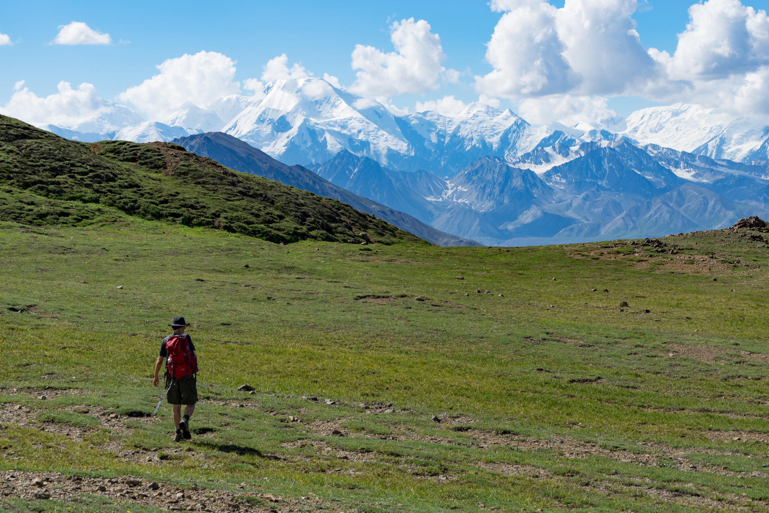CitW2016Denali-23.jpg