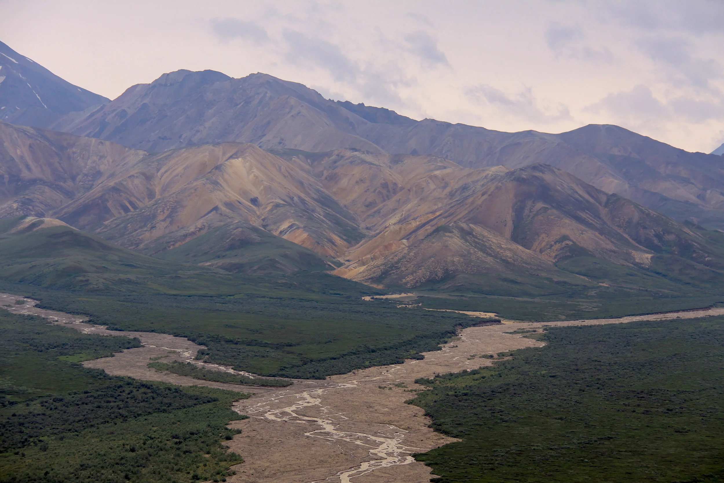 CitW2019Denali-33.jpg