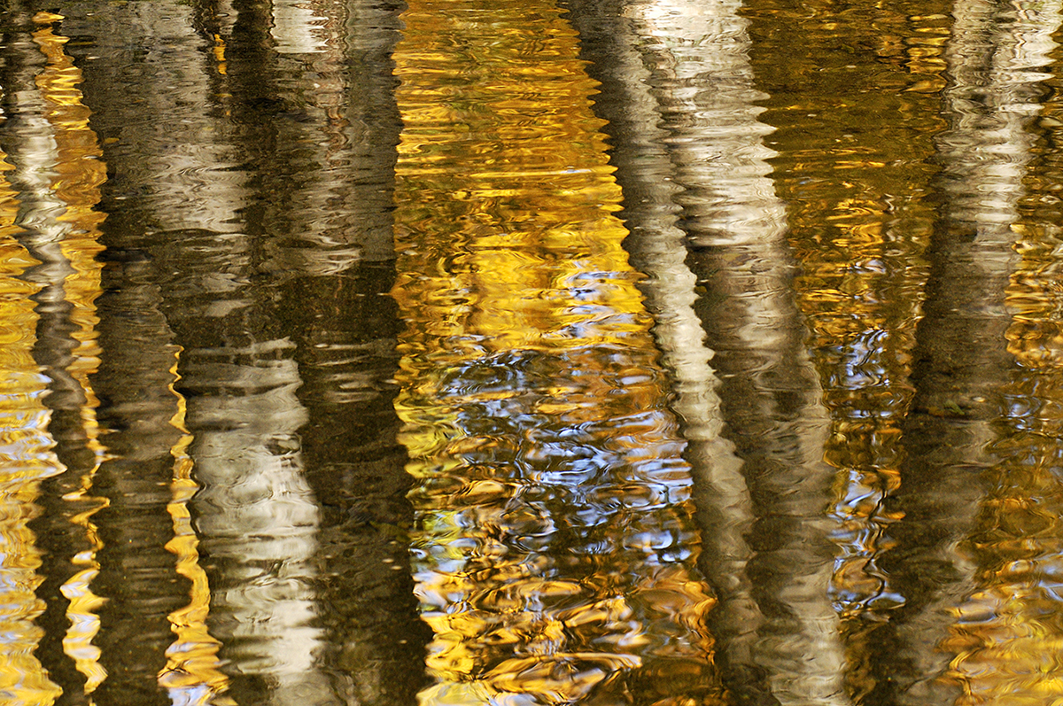 _DSC5728fc1.jpg