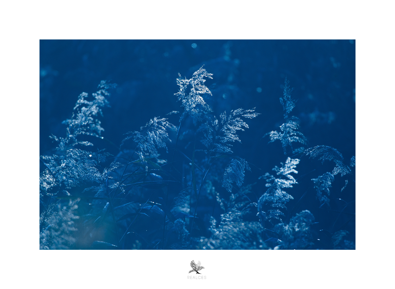 blog foto5.png