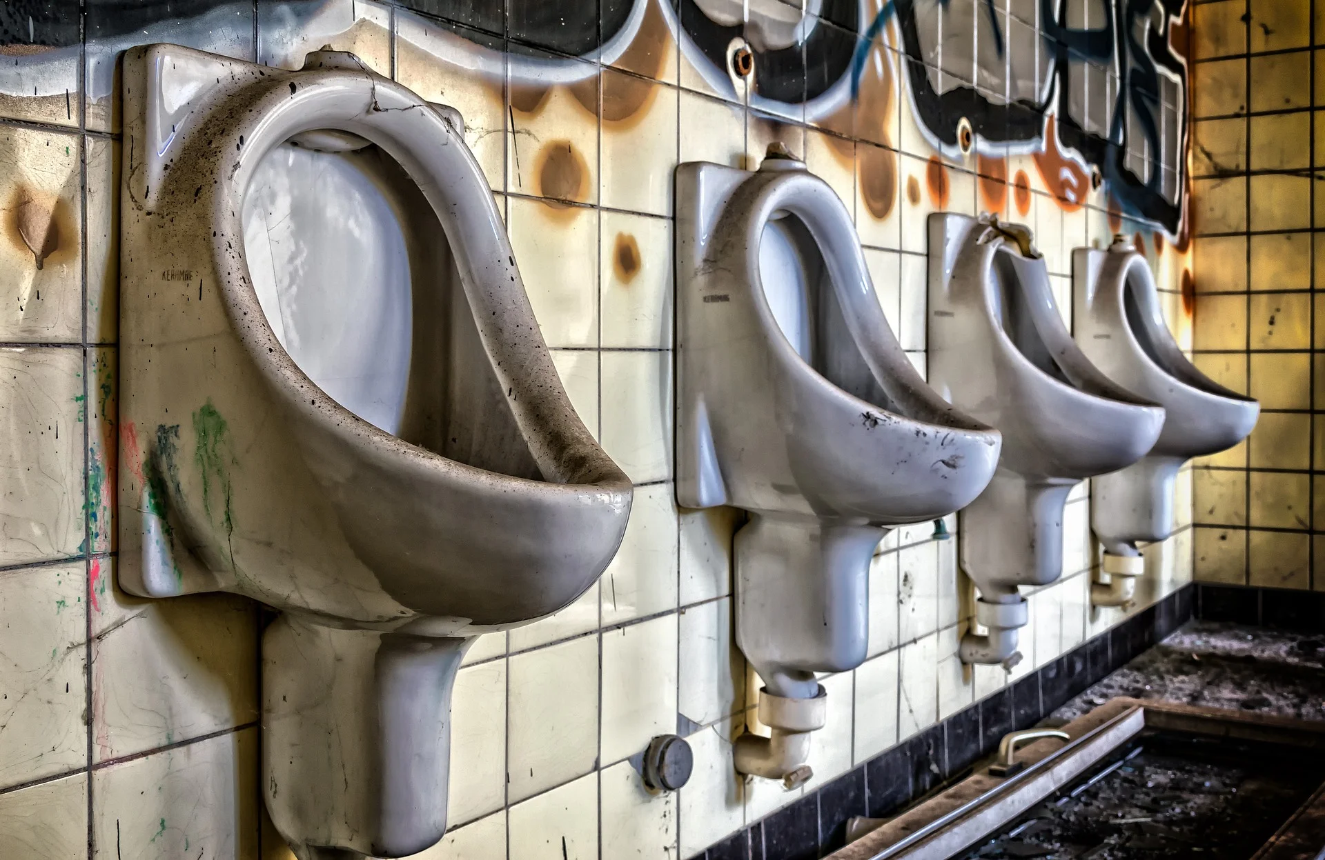 toilet-2789736_1920.jpg