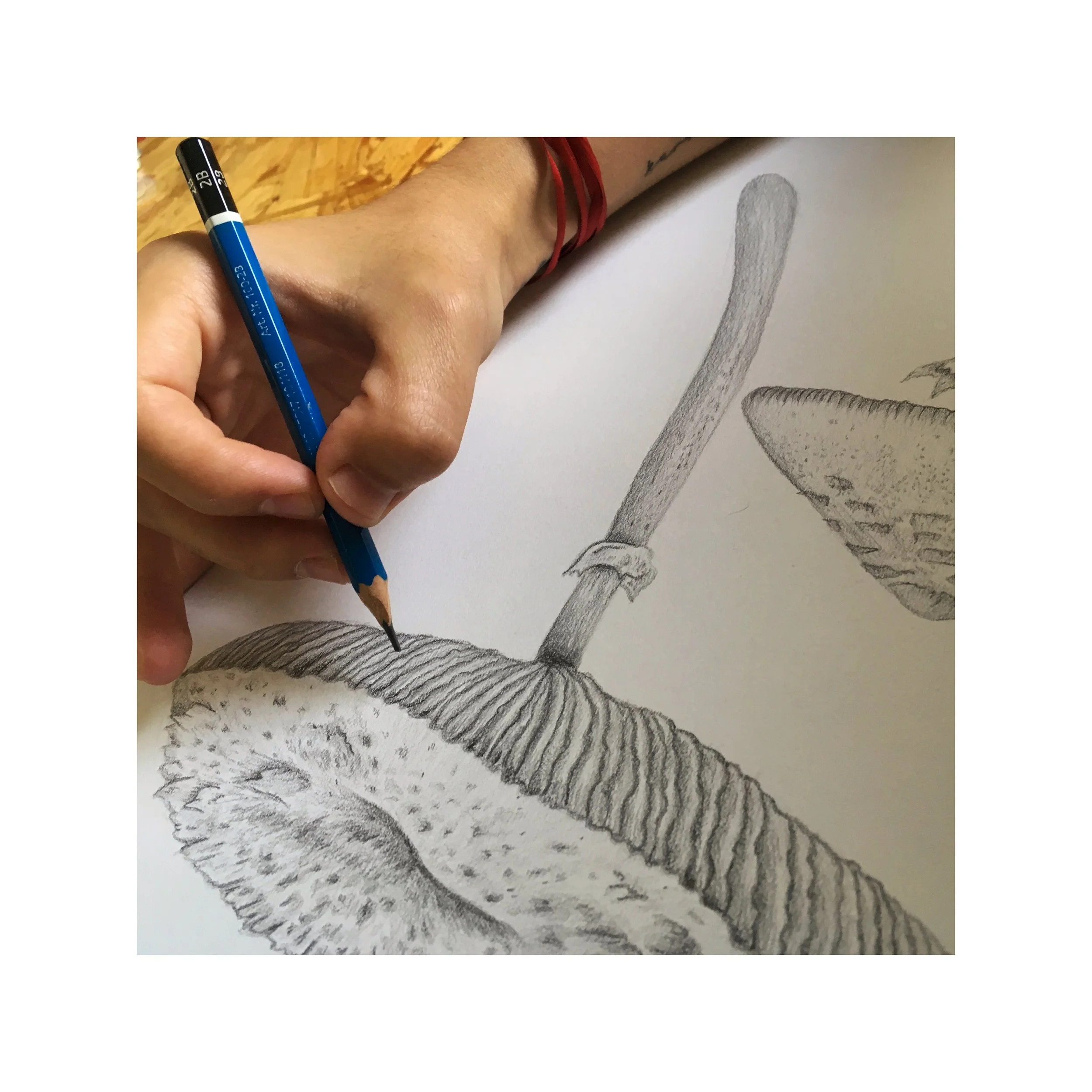 proceso.jpg