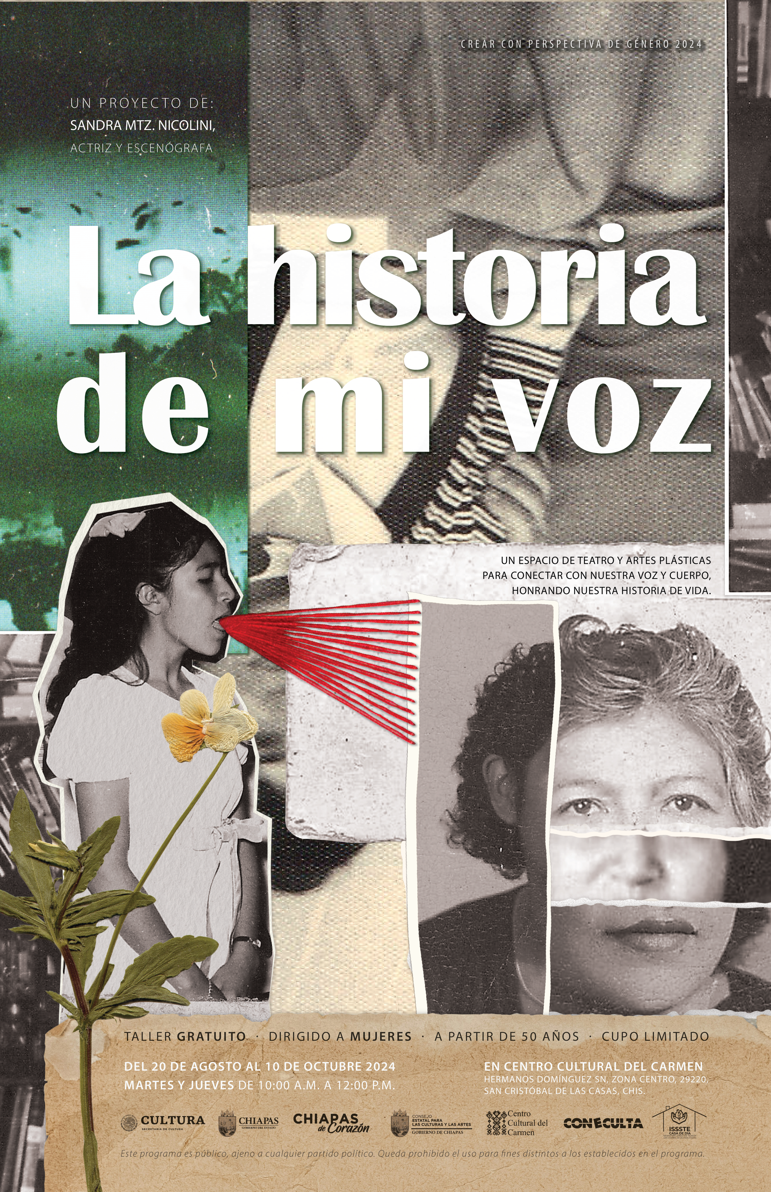 SDR_sandra_voz_v3_tabloide.png