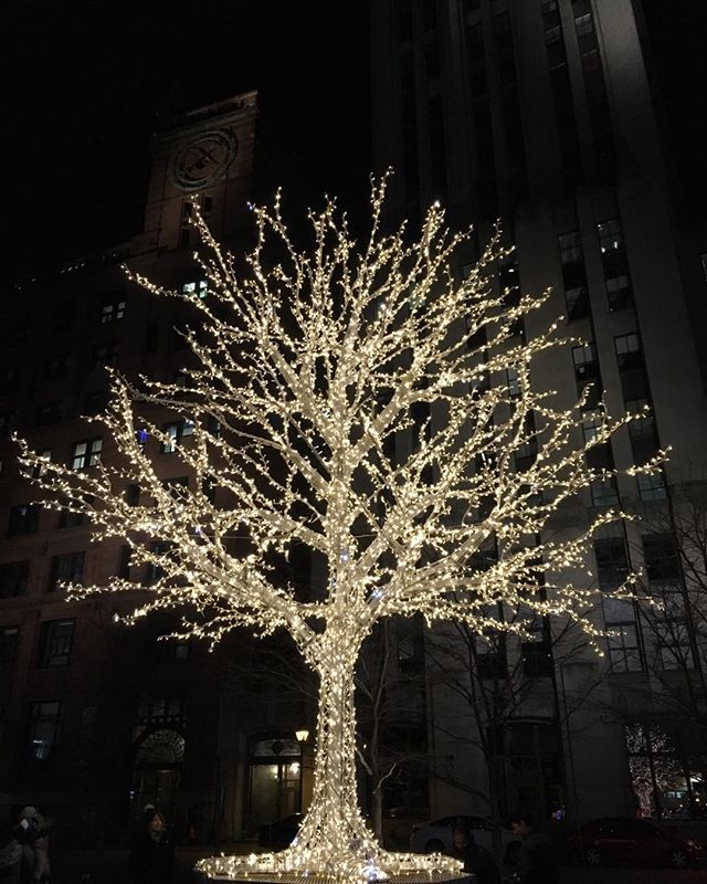 Tree of lights. Christmas time is always the most wonderful time of the year. #art #photography #tree #lights #Christmas